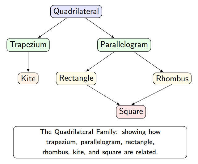 A family tree diagram showing the relationships between different types of quadrilaterals.
